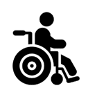Discapacidad y movilidad - Seguridad Vial