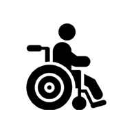 Discapacidad y conducción